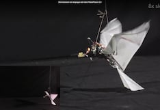 RoboFalcon 2.0 no es solo un dron: robot imita perfectamente el vuelo de las aves o de murciélagos