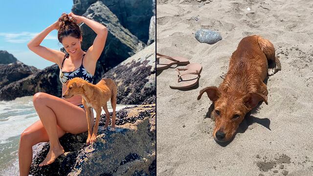 Pecana: la perrita que buscaba comida en Cerro Azul y encontró a su nueva familia en la playa