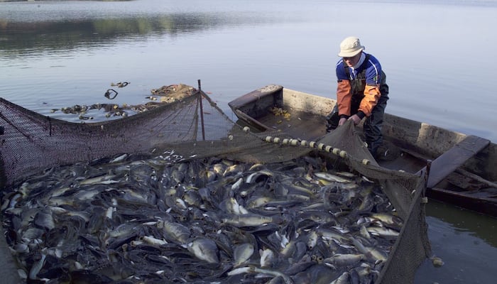 ¿Por qué apostar por esta tecnología?
