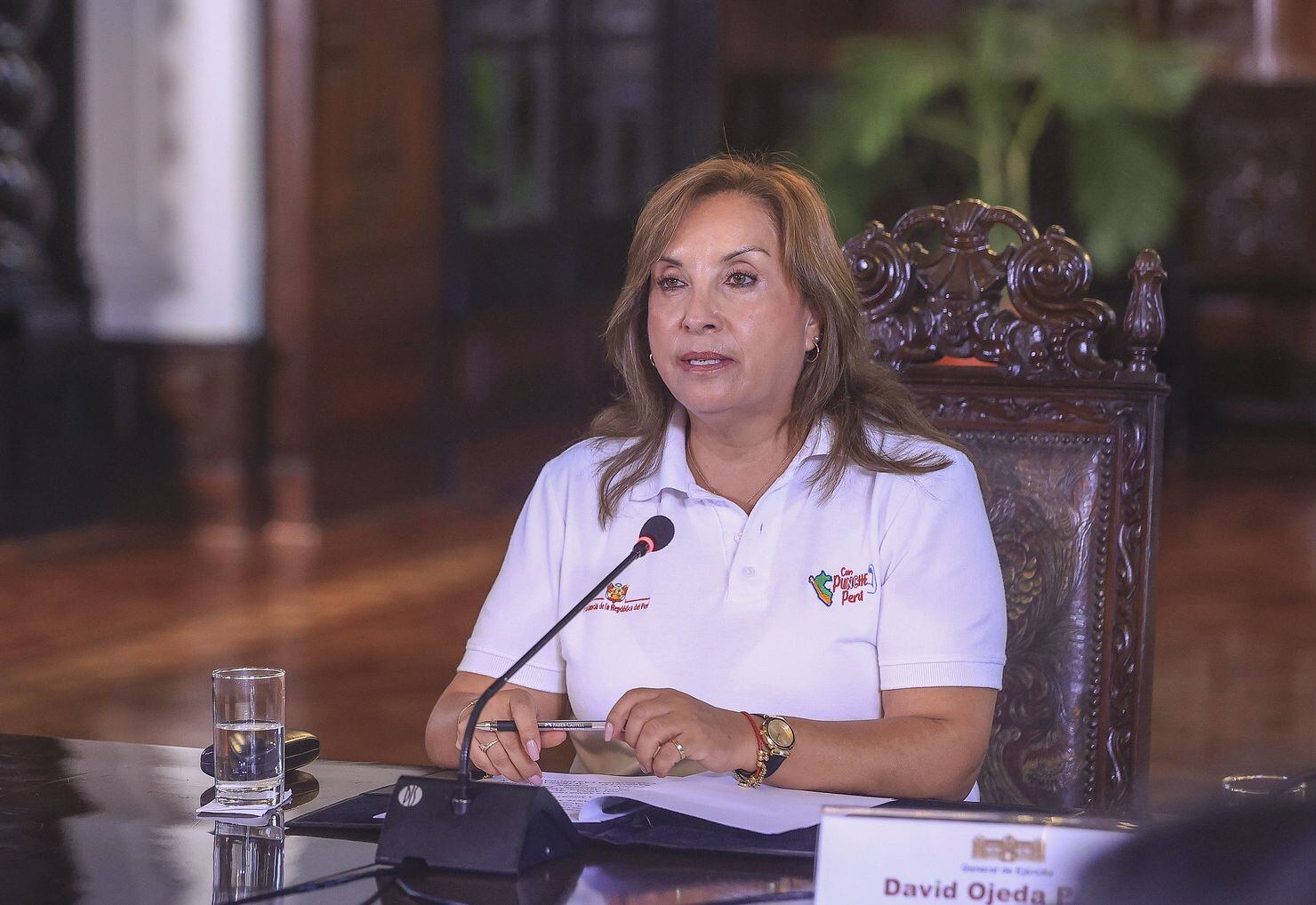 Dina Boluarte suscribió el proyecto para que sea promulgado sobre uso de armas de fuego. (Foto: Presidencia)