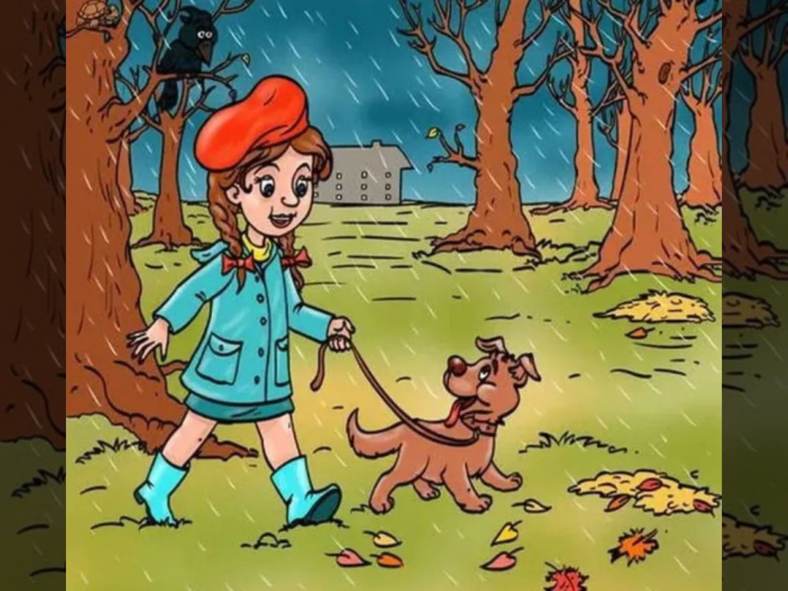 Reto visual: Trata de estar concentrado y encuentra rápidamente la tortuga en el tiempo estimado. (Créditos: Pinterest)