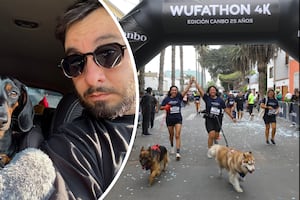 Guillermo Castañeda: “Me parece lindísima la labor de WUF de encontrar perritos abandonados, cuidarlos y tratar de brindarles una familia”