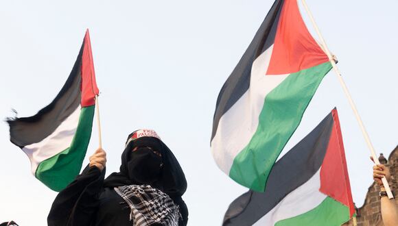 Un activista pro palestino sostiene una bandera palestina. (Foto de Silvana FLORES /AFP)