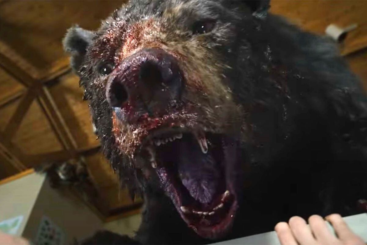 La película "Cocaine Bear" está escrita por Jimmy Warden (Foto: Universal Pictures)