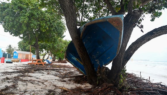 Un barco acabó en un árbol tras el paso del huracán Beryl en los jardines de Oistins, Christ Church, Barbados, el 1 de julio de 2024. (Foto de Randy Brooks / AFP)