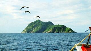 Ilha de Queimada Grande: La isla prohibida de Brasil