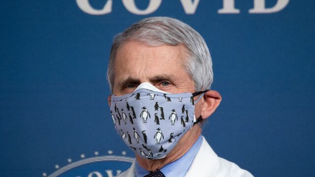 El verdadero número de muertes por coronavirus en EE.UU. es “sin duda” mayor al oficial, asegura el doctor Fauci