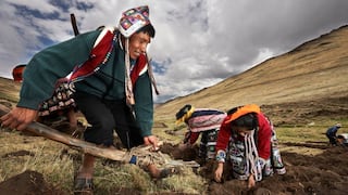 “Hatun Phaqcha, Tierra Sana”: Documental sobre los ‘superalimentos’ peruanos estrena en cines este 17 de febrero