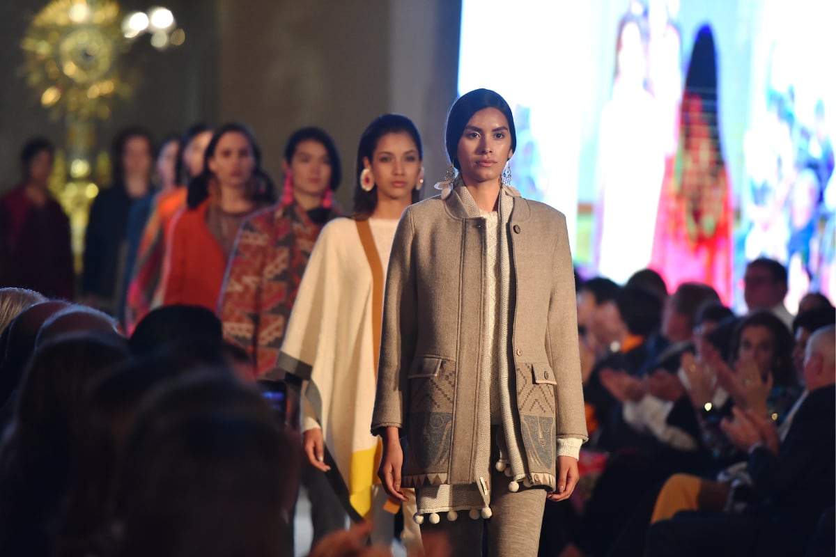 (Foto: AIA - Asociación Internacional de la Alpaca)