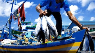 Día del Pescador: por qué se conmemora cada 29 de junio