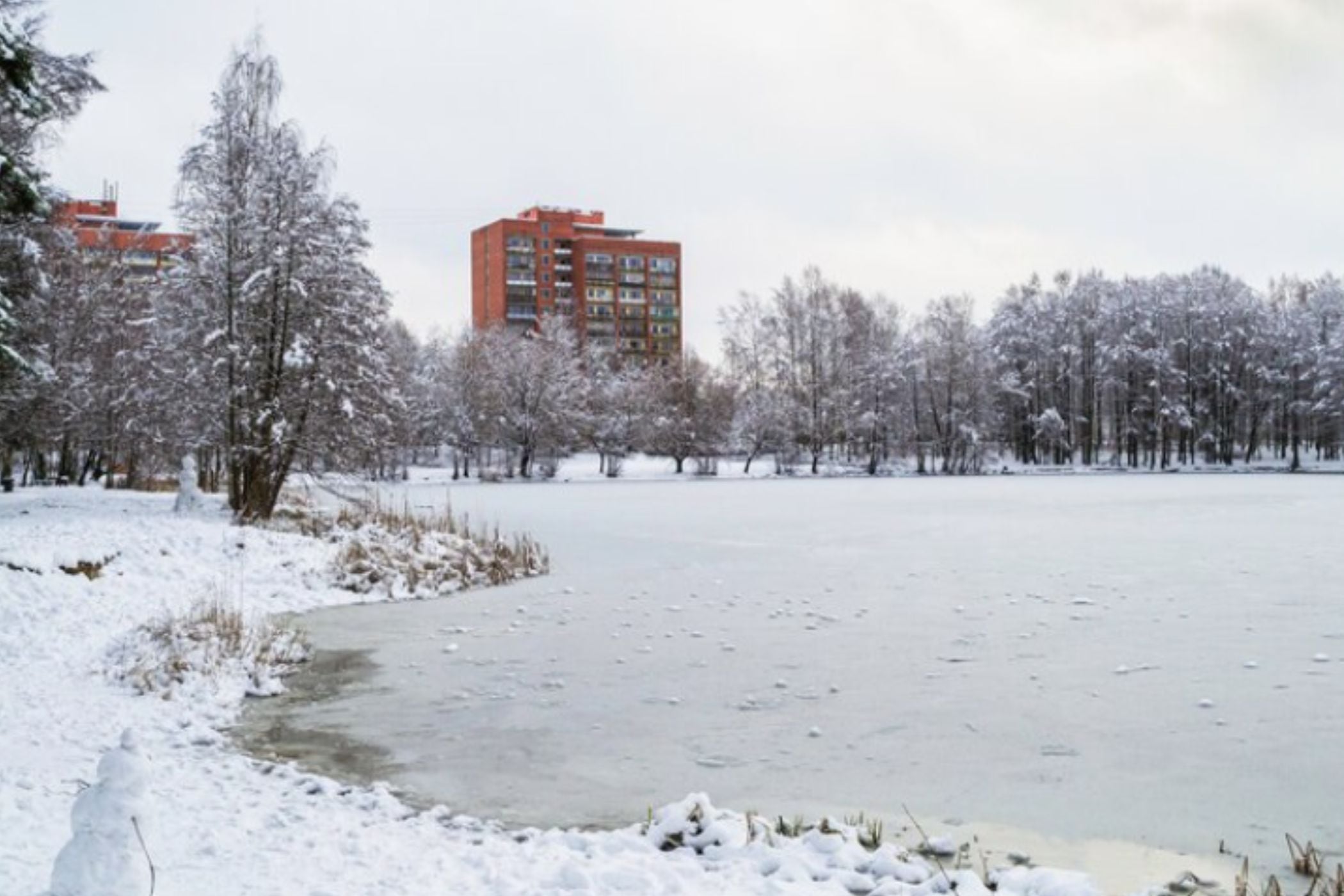 Chicago no sería la única afectada por la nieve, también distintos condados de Illinois experimentarán esta condición climática. (Crédito: Freepik)