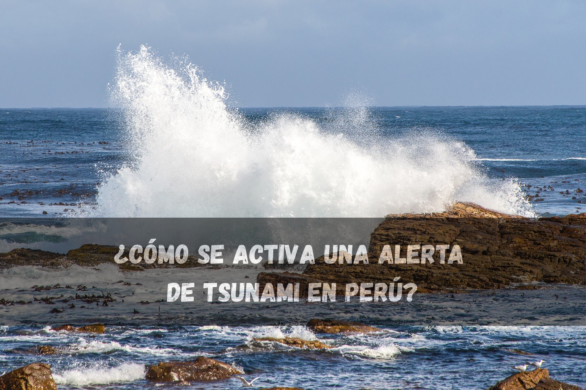 La costa del Perú ha recibido una alerta de tsunami tras el terremoto en Rusia del 29 de julio (Foto: Freepik)
