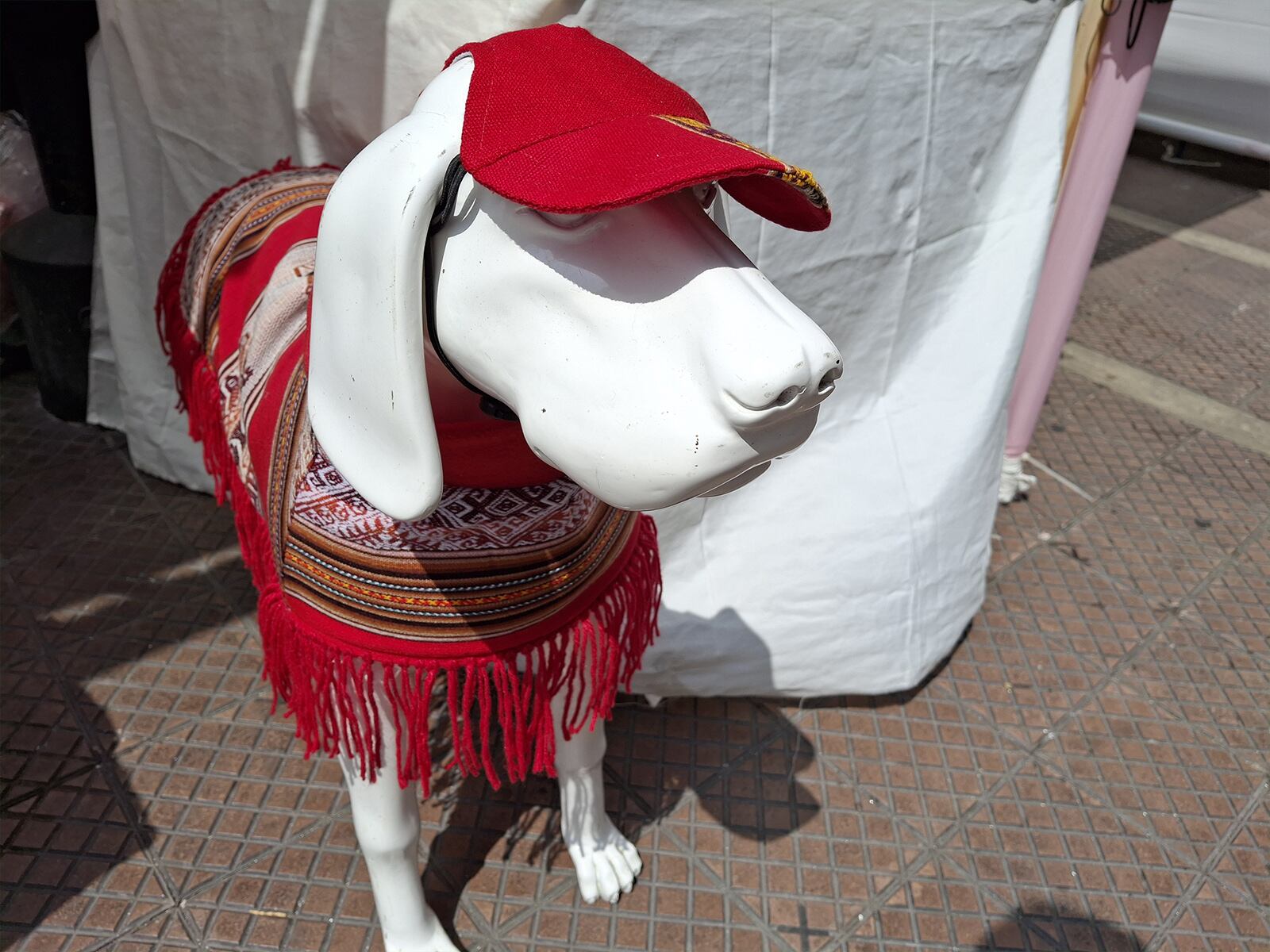 Así toma las fotos el Samsung Galaxy A35 5G. (Foto: MAG - Rommel Yupanqui)