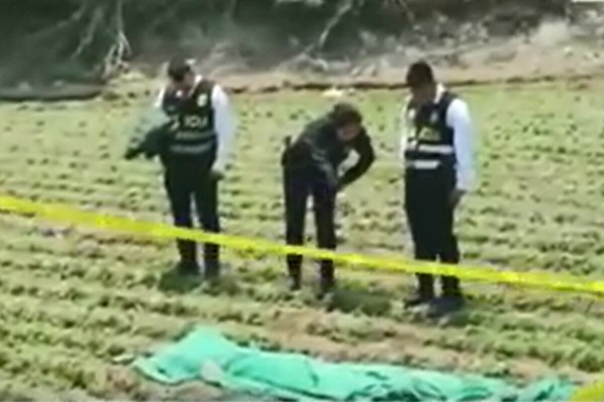 Hombre fue hallado muerto en una chacra cercana a la carretera que conduce a la ciudad de Canta, en Carabayllo. (Foto: Captura/América Noticias)