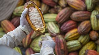 Q’uma, la marca de chocolate orgánico que da trabajo a pequeños agricultores y los ayuda a emprender   