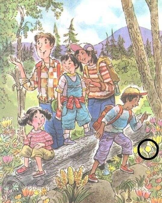 RETO VISUAL | Si disfrutaste jugando este desafío de rompecabezas con imágenes, comparte este rompecabezas viral con tus amigos y familiares, desafiándolos a detectar el limón en 12 segundos o menos.