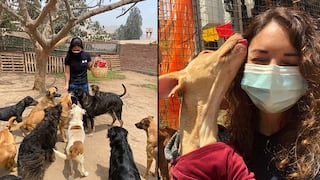 WUF reactiva las visitas solidarias a 7 albergues de perros en Lima