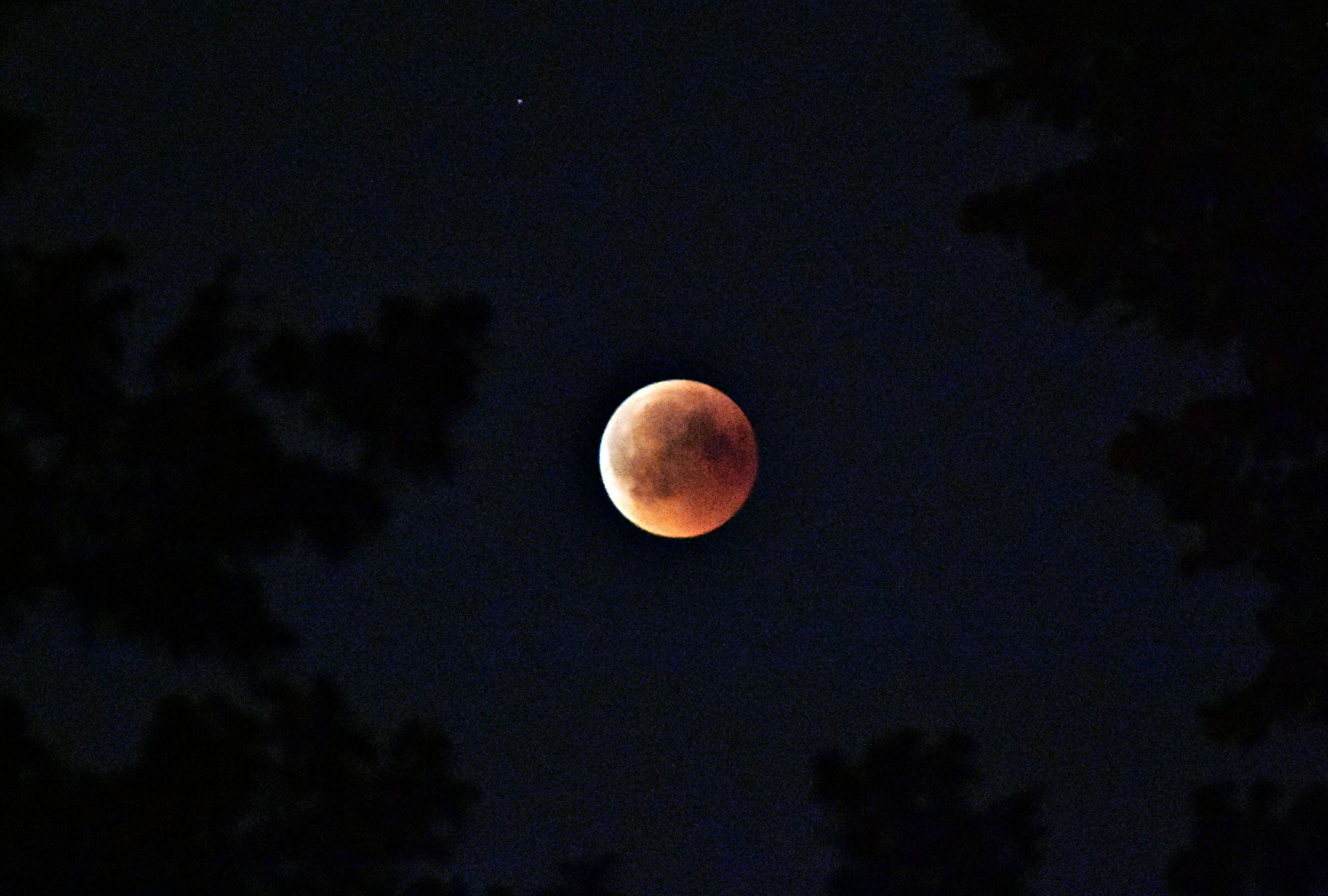 Conoce qué puedes hacer y qué no durante el eclipse lunar total del 14 de marzo de 2025. (Foto: Diana ✨ / Pexels)