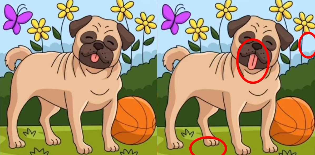 RETO VISUAL | ¿Lograste encontrar las 3 diferencias dentro del límite de tiempo?