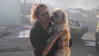 El trágico saldo que deja el incendio en Viña del Mar: al menos dos muertos y 130 casas arrasadas