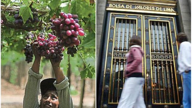 Ecosac: la agroexportadora ingresa a la bolsa limeña