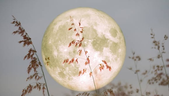 Cómo afectará la luna llena del 27 de noviembre a estos tres signos del zodiaco. (Foto: iStock)