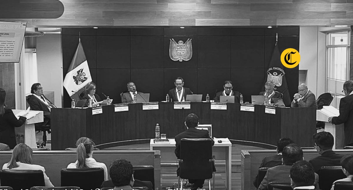 TRIBUNAL CONSTITUCIONAL