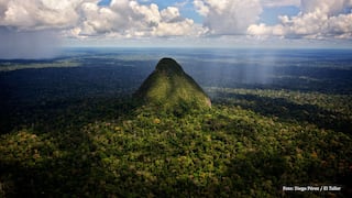 Perú: siete años de prisión para empresario que construyó carretera que atraviesa parque nacional en la Amazonía