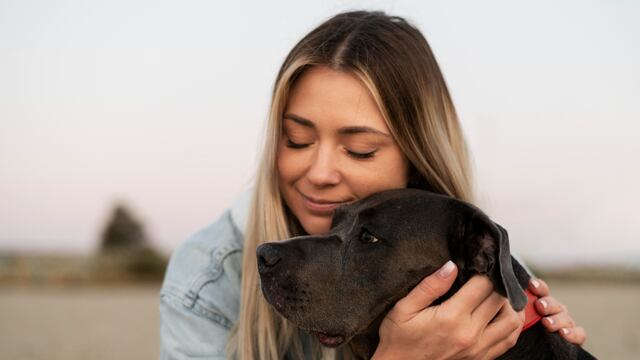 Perritos mayores: ¿Por qué adoptar a un perro adulto es una gran elección y un verdadero acto de amor?