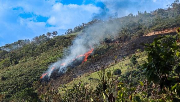 Incendio forestal fue reportado la mañana de este sábado, pero habría iniciado la noche del viernes 8 de setiembre. (Foto: Andina)