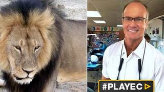 El dentista que mató a Cecil, el león más querido de Zimbabue
