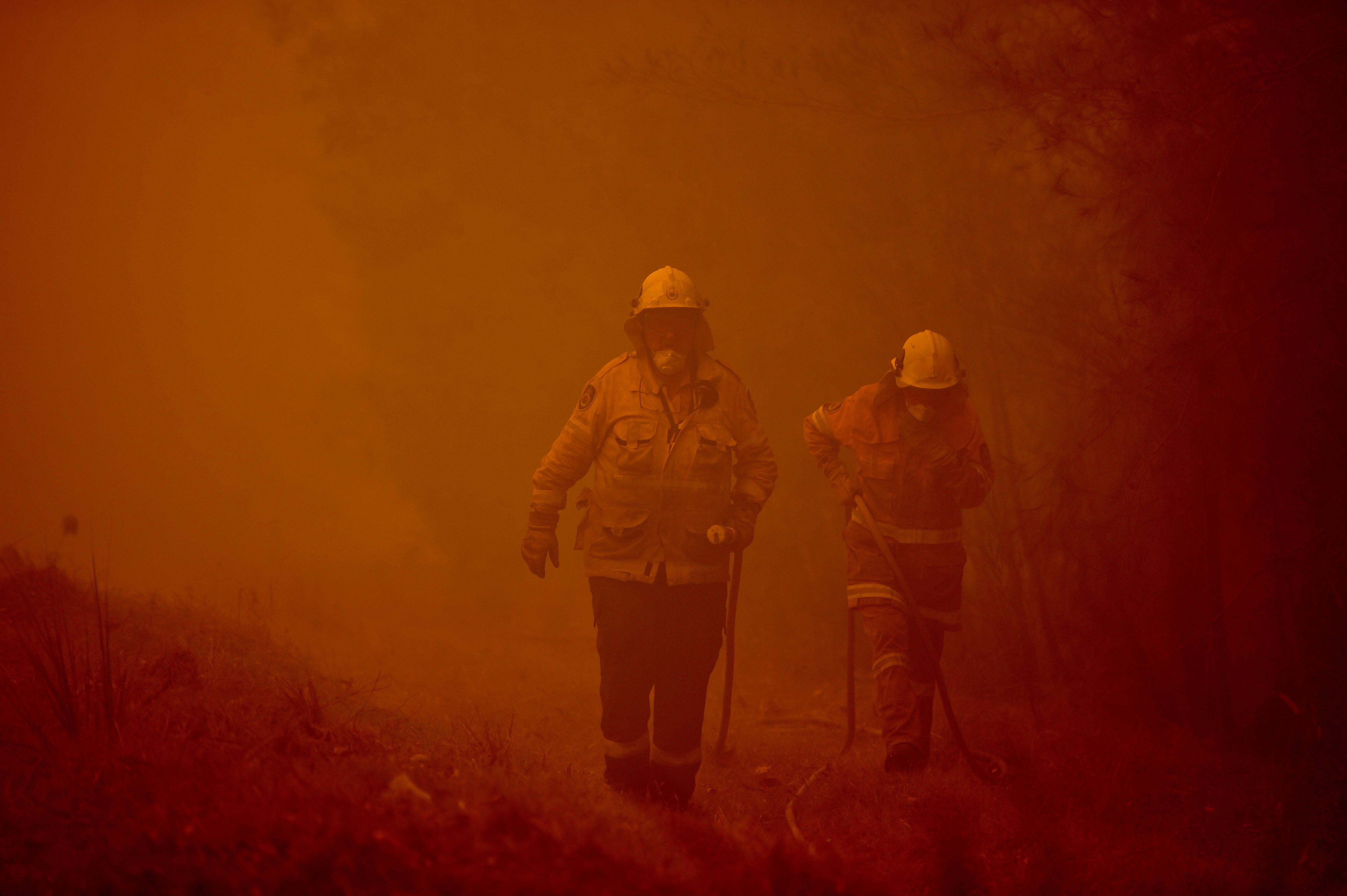 Los catastróficos incendios forestales en Australia durante 2019-2020 fueron el centro de este estudio publicado en Science Advances. En la imagen, los bomberos abordan un incendio forestal en medio de un espeso humo en la ciudad de Moruya, al sur de Batemans Bay, en Nueva Gales del Sur, Australia. (Foto: PETER PARKS / AFP)