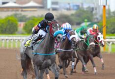 El hipódromo de monterrico define este domingo a la “selección peruana” para el gran premio latinoamericano 2026