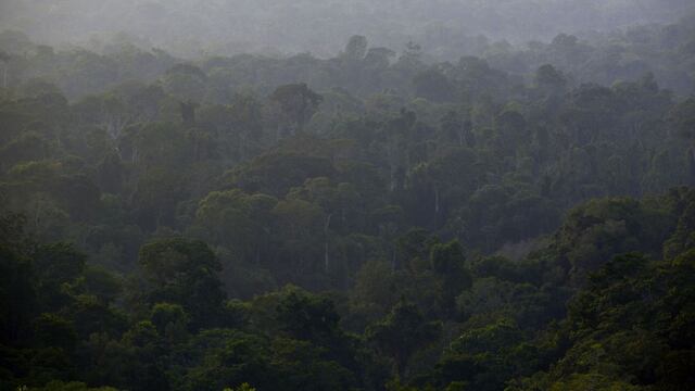 Amazonía Siempre: una ambición renovada para la región amazónica