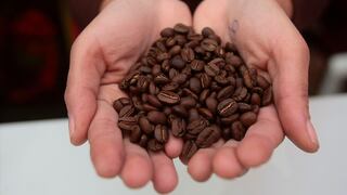 Café peruano conquista mercados internacionales al ganar premios en Francia e Italia