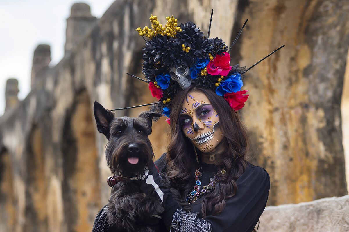 Siguiendo estos consejos, mantendrás bien cuidadas a tus mascotas en el Día de Muertos y tras Halloween. (Foto: Arturo Peña Romano Medina / iStock)