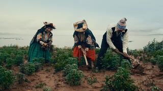 “Hatun Phaqcha, Tierra Santa”: Documental sobre los alimentos nativos del Perú compite en el Festival de Málaga