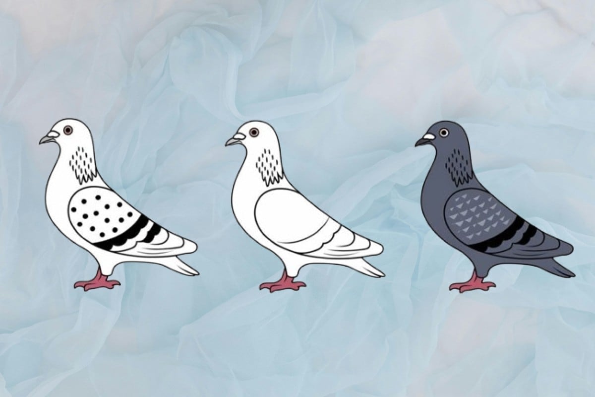 La paloma que más atrajo tu atención será clave para descubrir si la alegría es tu principal característica. (Imagen: El Comercio/Mag)
