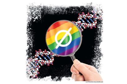 Se confirma que no existe el “gen gay”