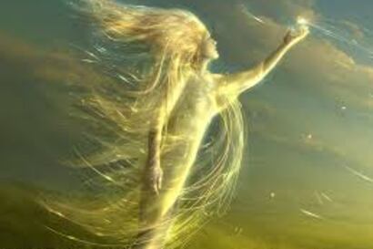 Los poemas de la (auto) destrucción