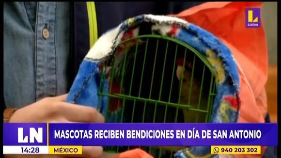 México: Bendicen mascotitas
