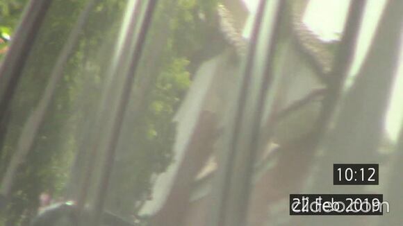 Interceptaciones telefónicas