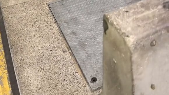 El emotivo encuentro entre un perro y su dueño después de estar distanciados por más de 7 meses (@pablomontoyav / TikTok)