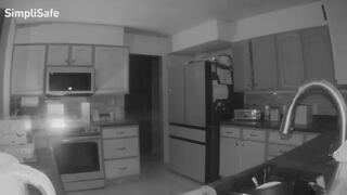 La travesura de un perro que acabó en incendio en su casa en Colorado