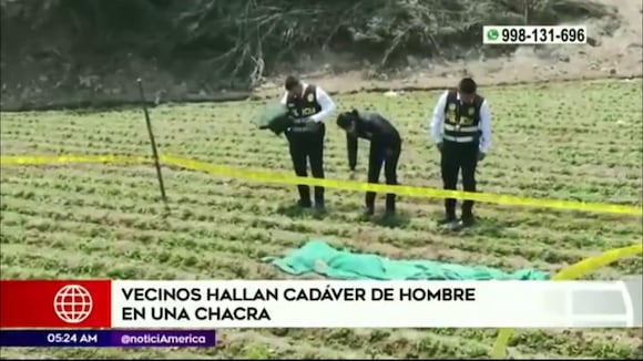 Carabayllo: Vecinos hallaron cadáver de hombre en una chacra