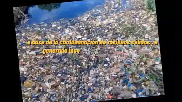 Whatsapp Video 2021-11-17 At 7.03.31 Pm