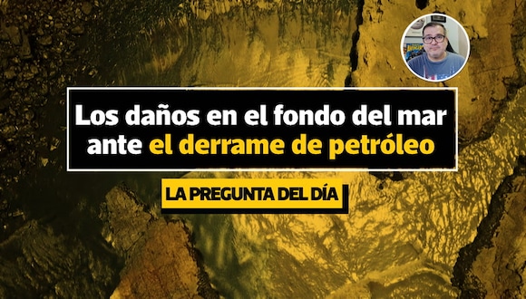 La pregunta del día: ¿Qué tanto se afecta el fondo del mar con un derrame de petróleo? | Video