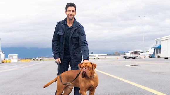 Tráiler de "Socios y sabuesos". (Fuente: Disney+)