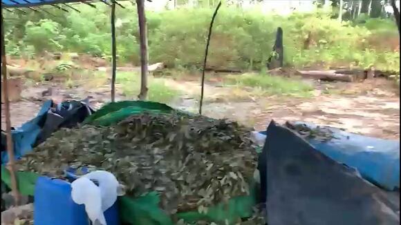 Operativo De Interdiccion A Los Sembrios De Coca En Valparaiso, Cerca A Santa Maria, 1 De Mayo 2021