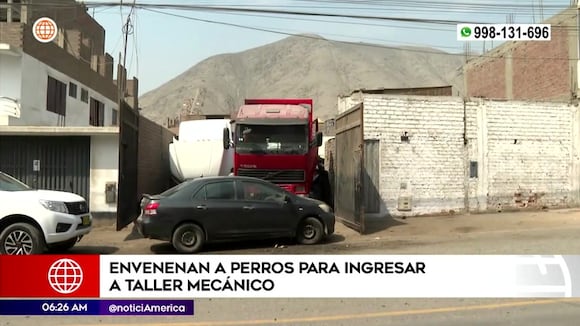 Envenenan a perros para robar en taller mecánico